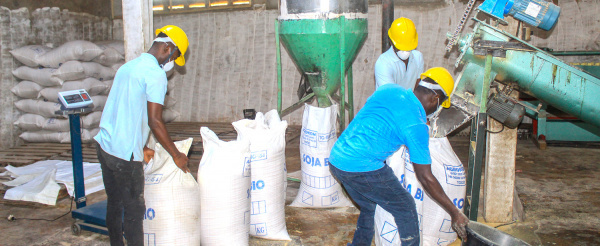 A credit facility has been launched to boost bread production in Togo