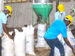A credit facility has been launched to boost bread production in Togo
