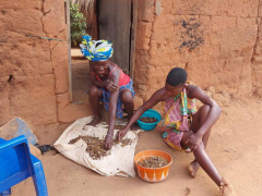 Togo: Over 800,000 beneficiaries were impacted by the ministry of social action’s initiatives in 2022
