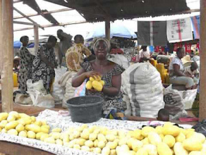 Dans la r&eacute;gion des Savanes, le Plan National de D&eacute;veloppement ambitionne une r&eacute;duction drastique du taux de pauvret&eacute;