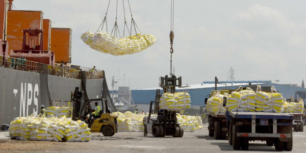 L’Inde, pays de provenance de 80% du riz consommé au Togo, limite ses exportations