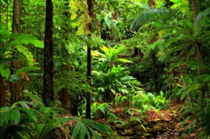 Togo Launches Initiative for Climate Action Transparency