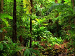 Togo Launches Initiative for Climate Action Transparency