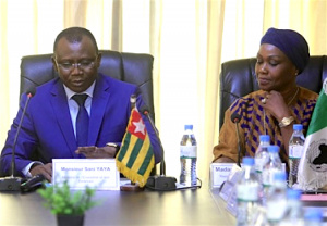 Togo : la BAD participera au d&eacute;veloppement de l&rsquo;agrobusiness pour 7,47 milliards de Fcfa
