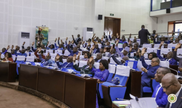 Togo approves bill updating environmental law and introducing carbon tax