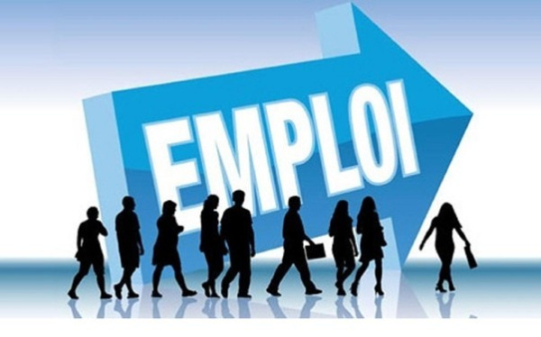Togo : un salon de l&rsquo;emploi r&eacute;unira plus de 3000 jeunes dipl&ocirc;m&eacute;s et 50 entreprises