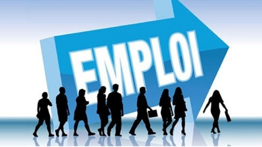 Togo : un salon de l&rsquo;emploi r&eacute;unira plus de 3000 jeunes dipl&ocirc;m&eacute;s et 50 entreprises