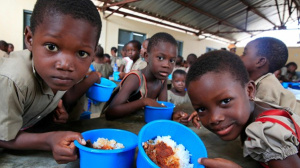 ProMIFA backs school gardens to strengthen feeding programs in northern Togo