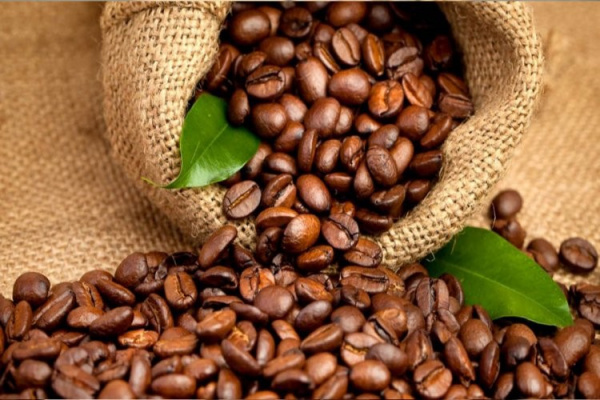 The Inter-African Coffee Organization will hold its annual assembly next November