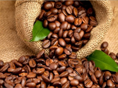 the-inter-african-coffee-organization-will-hold-its-annual-assembly-next-november