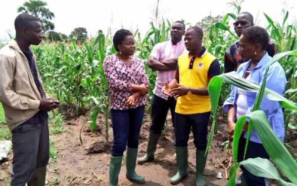 Togo : l’acte 1 des fora régionaux des agriculteurs s’ouvre à Dapaong, jeudi