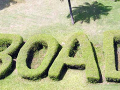 BOAD approved the disbursement of CFA652 billion in 2020