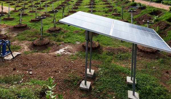 Le tandem Bboxx et EDF va fournir des pompes solaires à 5 000 agriculteurs togolais