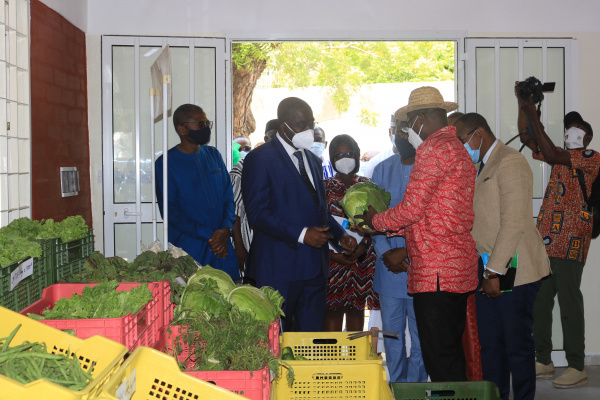 FAO launches an exhibition hall in Lomé to promote made-in-Togo agricultural products