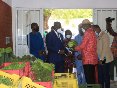 FAO launches an exhibition hall in Lomé to promote made-in-Togo agricultural products