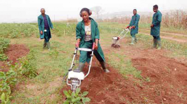 More than 7,000 young entrepreneurs participate in the ongoing agripreneurs forum in Kara