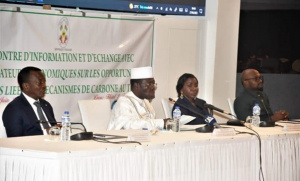 Togo: quelles opportunit&eacute;s d&rsquo;affaires li&eacute;es aux m&eacute;canismes de carbone pour les op&eacute;rateurs &eacute;conomiques?