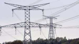 Togo: la CEET sollicite l'expertise des jeunes et des femmes entrepreneurs pour construire des lignes &eacute;lectriques