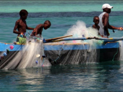 Togo: A five-year plan to develop the blue economy is in the pipeline