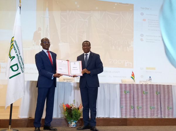 Togo: 60th ordinary session of OAPI’s administration council recently held in Lomé