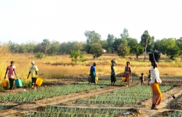 Last year, over 200,000 jobs were created in the agricultural sector