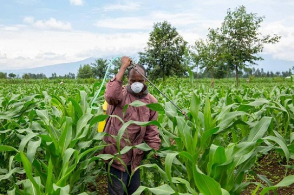 AfDB grants Togo $5.4 million to boost its agricultural production