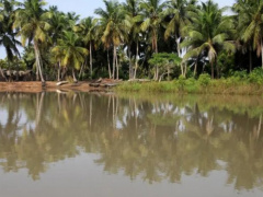 Mono Basin Authority reviews 2025 performance in Lom&eacute;