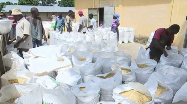 Togo Adopts 7-Year Plan to Fight Food Insecurity