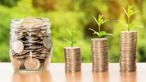 Togo: Microfinance Institutions Collected More and Loaned Less in Q1 2024
