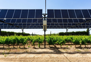 Le Togo et trois autres pays planchent sur un projet agrivoltaïque avec l&#039;appui de l&#039;UE