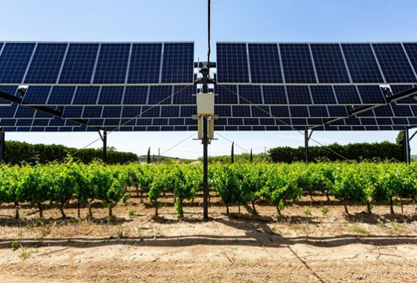 Le Togo et trois autres pays planchent sur un projet agrivoltaïque avec l&#039;appui de l&#039;UE