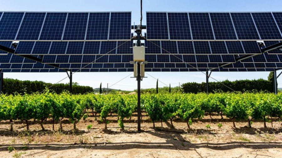 Le Togo et trois autres pays planchent sur un projet agrivoltaïque avec l&#039;appui de l&#039;UE