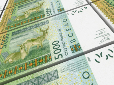banking-why-are-togolese-lenders-accumulating-reserves