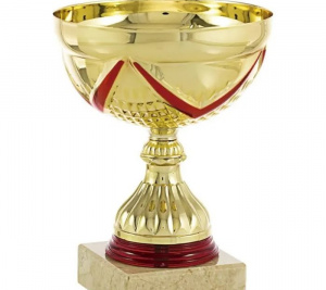 Championnat panafricain de d&eacute;bats universitaires 2023 : 114 universit&eacute;s seront repr&eacute;sent&eacute;es &agrave; Lom&eacute; pour le Graal