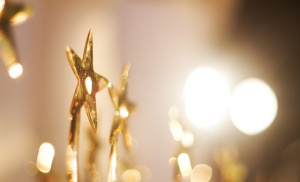 Meilleurs contribuables togolais : Togocel et Total port&eacute;s au pinacle