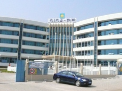 Lomé to host African reinsurance forum in a few days