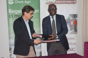 Togo’s NSCT Partners Training Centers to Boost Youth Employment in Cotton Sector