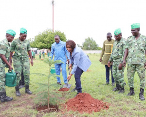 Journ&eacute;e de l'arbre : la ministre, SG de la pr&eacute;sidence Sandra Johnson, a mis en terre de jeunes plants