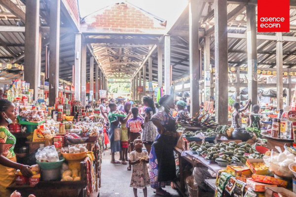 Comment créer une entreprise personne physique (entreprise individuelle) au Togo