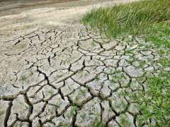 Climate change: EU to provide additional €30M to Togo under key program