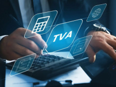 Togo&rsquo;s 2026 Tax Take: VAT And Customs Lead The Forecast