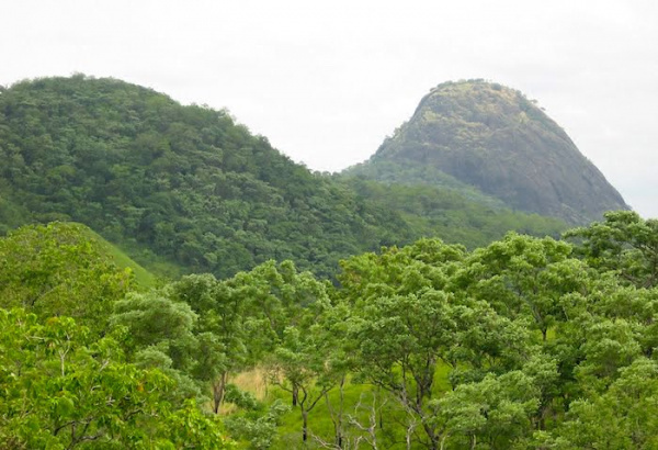 With the support of India, the Fazao-Malfakassa national park is about to be recognized by the UNESCO as a “biosphere reserve”