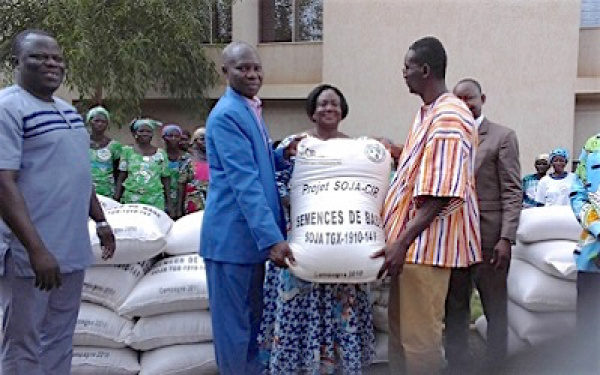 Soja : les producteurs reçoivent 48 000 kg de semences, de base et certifiées, pour démarrer la campagne 2018/19