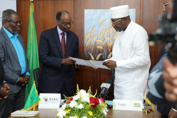 Togo Commits to IACO Agreement for Stronger Coffee Sector