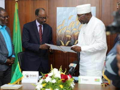 togo-commits-to-iaco-agreement-for-stronger-coffee-sector