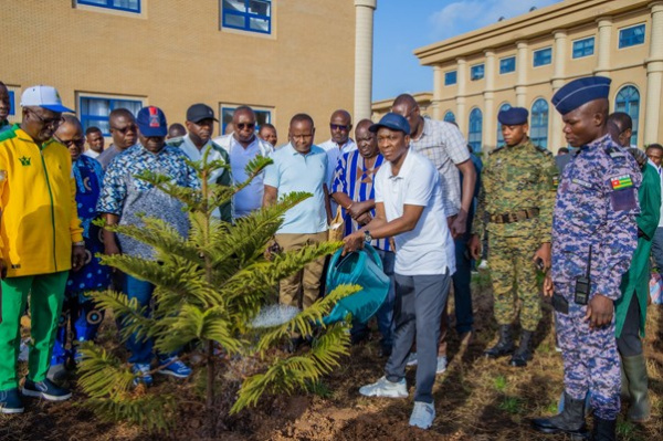 Togo Launches Massive 2025 Reforestation Campaign with  CFA11 Billion Funding