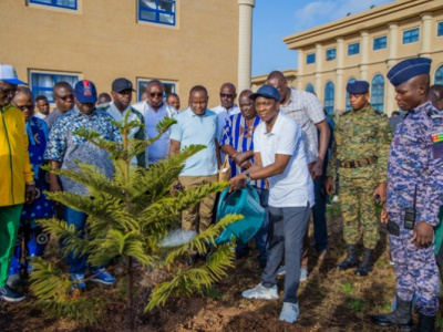 togo-launches-massive-2025-reforestation-campaign-with-cfa11-billion-funding