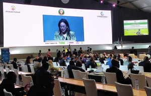 CEDEAO : Ouverture &agrave; Lom&eacute; d'intenses travaux sur la production d'engrais et la s&eacute;curit&eacute; alimentaire