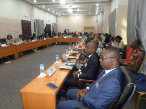 A Lom&eacute;, des pays d&rsquo;Afrique de l&rsquo;Ouest &eacute;valuent les projets appuy&eacute;s par le Fonds europ&eacute;en pour le d&eacute;veloppement