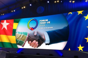 Entrepreneuriat des jeunes et femmes: attentes crois&eacute;es des acteurs